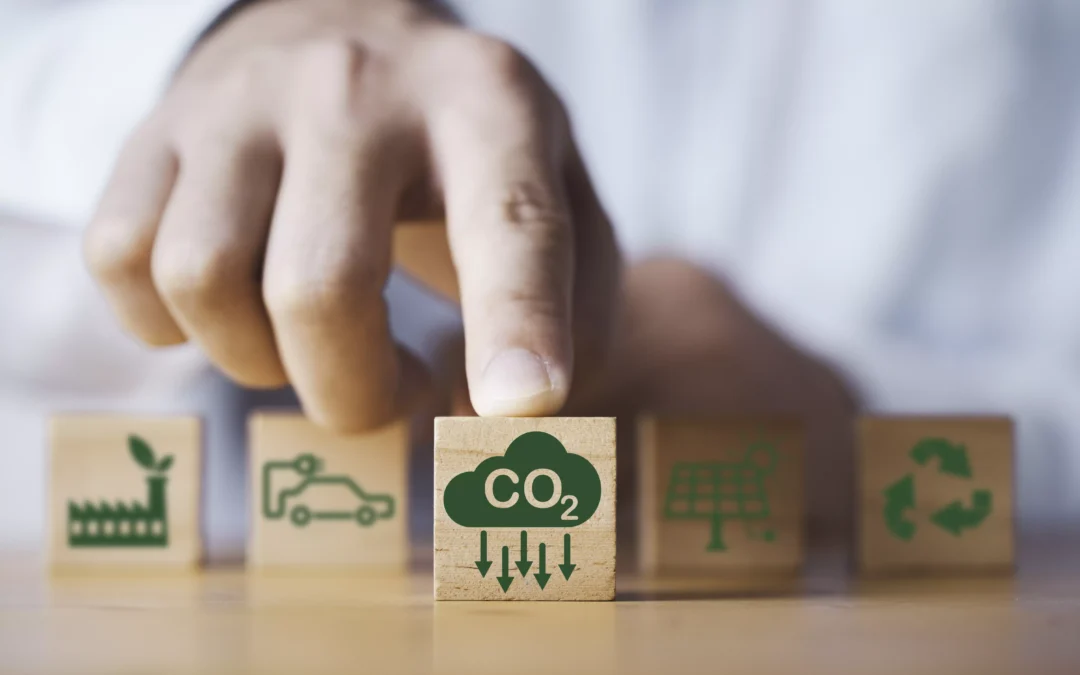 Dłoń wskazująca na klocek z CO2