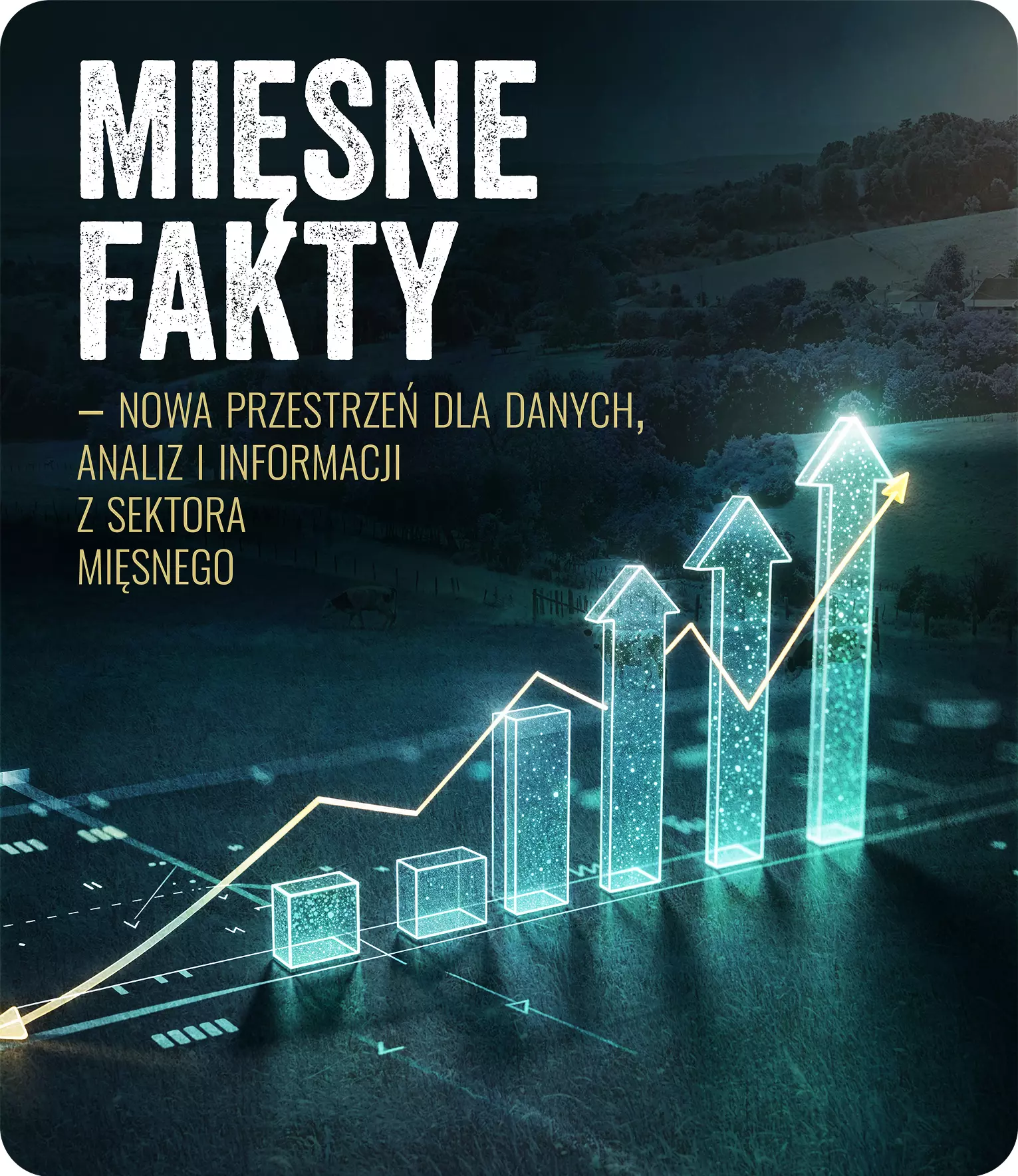 Mięsne fakty Mięsne fakty