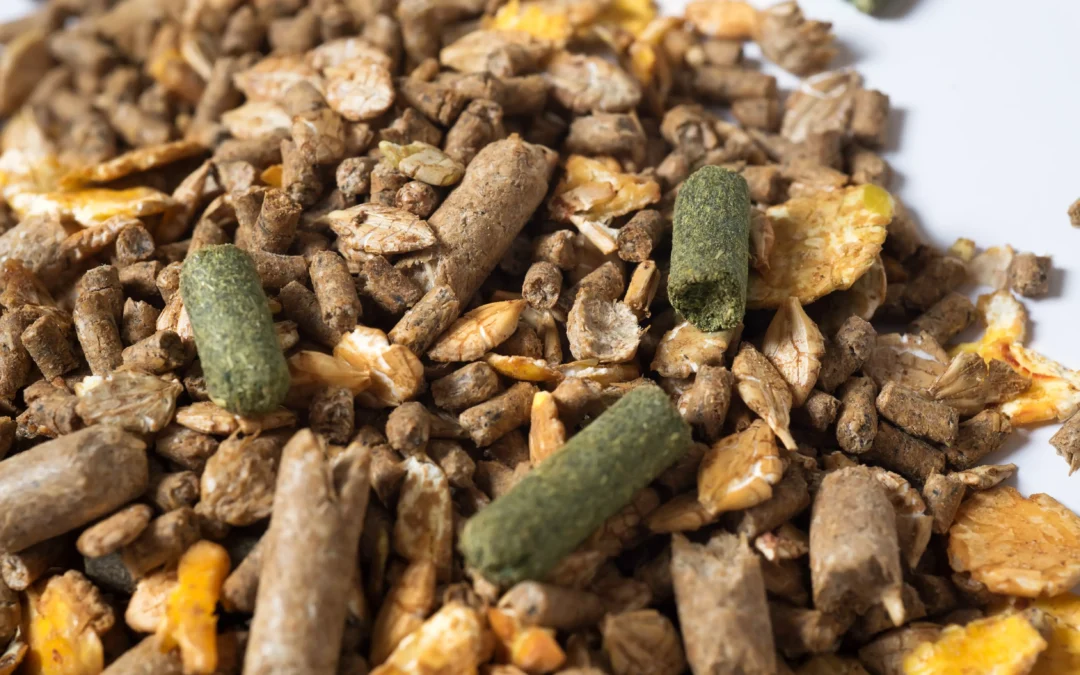 Strategiczna podatność UE na rynku witamin i aminokwasów paszowych 